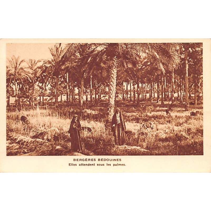 Rare collectable postcards of EGYPT. Vintage Postcards of EGYPT