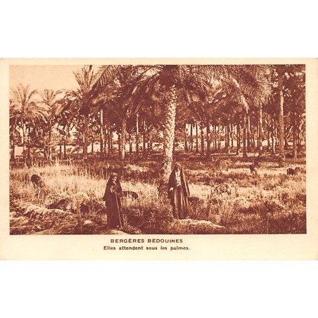 Rare collectable postcards of EGYPT. Vintage Postcards of EGYPT