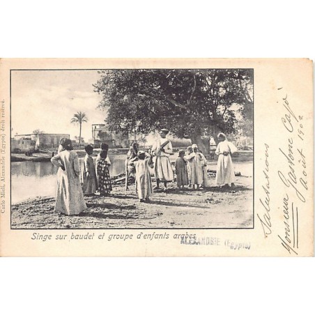 Rare collectable postcards of EGYPT. Vintage Postcards of EGYPT
