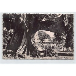 Rare collectable postcards of GUINEA CONAKRY. Vintage Postcards of GUINEA CONAKRY
