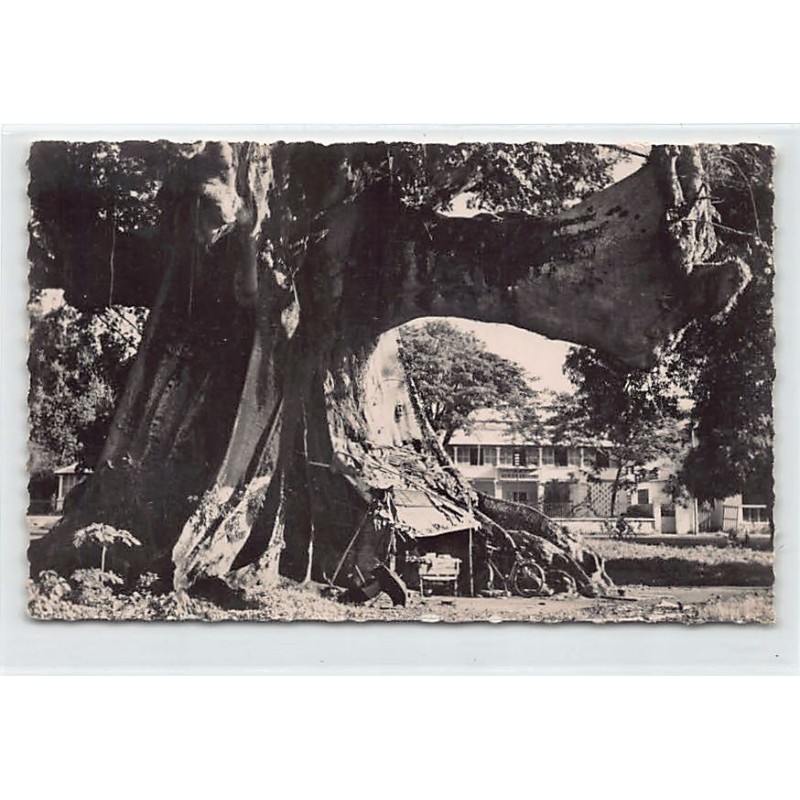 Rare collectable postcards of GUINEA CONAKRY. Vintage Postcards of GUINEA CONAKRY