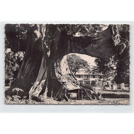 Rare collectable postcards of GUINEA CONAKRY. Vintage Postcards of GUINEA CONAKRY