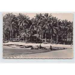 Rare collectable postcards of GUINEA CONAKRY. Vintage Postcards of GUINEA CONAKRY