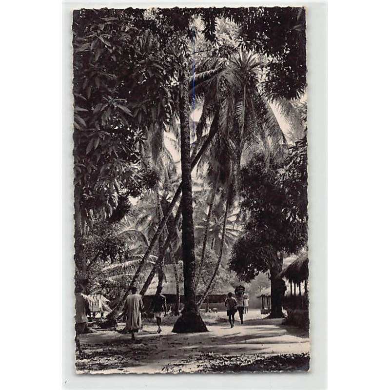 Rare collectable postcards of GUINEA CONAKRY. Vintage Postcards of GUINEA CONAKRY