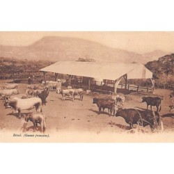 Rare collectable postcards of GUINEA CONAKRY. Vintage Postcards of GUINEA CONAKRY