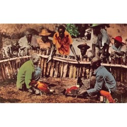 Rare collectable postcards of HAITI. Vintage Postcards of HAITI