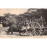 Rare collectable postcards of HAITI. Vintage Postcards of HAITI