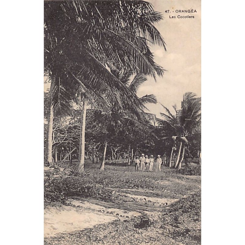 Rare collectable postcards of MOROCCO Maroc. Vintage Postcards of MOROCCO Maroc