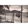 Rare collectable postcards of MOROCCO Maroc. Vintage Postcards of MOROCCO Maroc