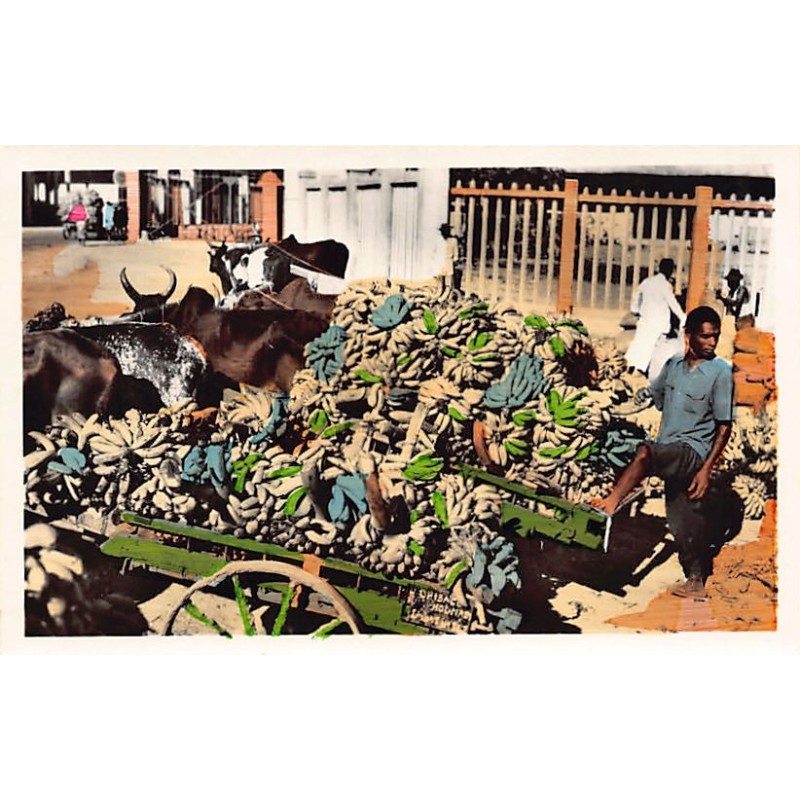 Rare collectable postcards of MOROCCO Maroc. Vintage Postcards of MOROCCO Maroc