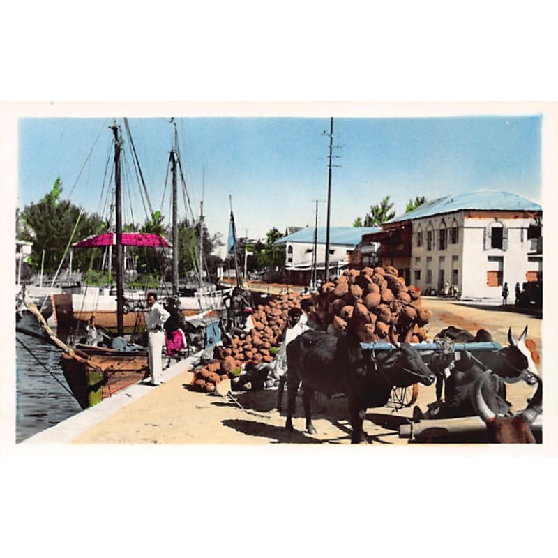 Rare collectable postcards of MOROCCO Maroc. Vintage Postcards of MOROCCO Maroc