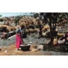 Rare collectable postcards of MOROCCO Maroc. Vintage Postcards of MOROCCO Maroc