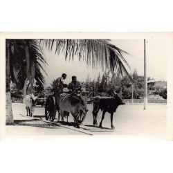 Rare collectable postcards of MOROCCO Maroc. Vintage Postcards of MOROCCO Maroc