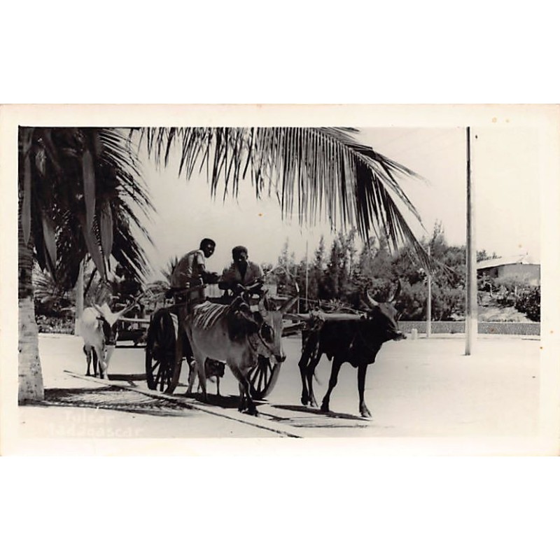 Rare collectable postcards of MOROCCO Maroc. Vintage Postcards of MOROCCO Maroc