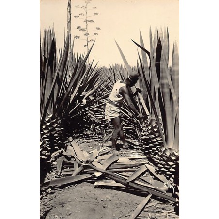 Rare collectable postcards of MOROCCO Maroc. Vintage Postcards of MOROCCO Maroc