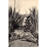 Rare collectable postcards of MOROCCO Maroc. Vintage Postcards of MOROCCO Maroc