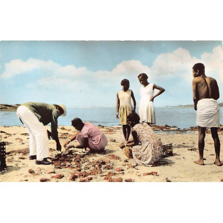 Rare collectable postcards of MOROCCO Maroc. Vintage Postcards of MOROCCO Maroc