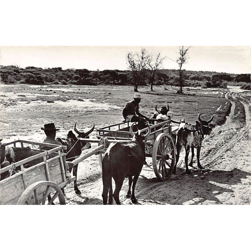 Rare collectable postcards of MOROCCO Maroc. Vintage Postcards of MOROCCO Maroc