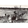 Rare collectable postcards of MOROCCO Maroc. Vintage Postcards of MOROCCO Maroc