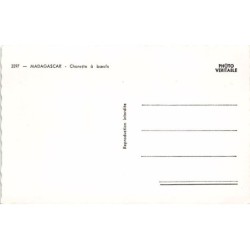 Rare collectable postcards of MOROCCO Maroc. Vintage Postcards of MOROCCO Maroc