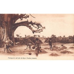 Rare collectable postcards of MALI. Vintage Postcards of MALI