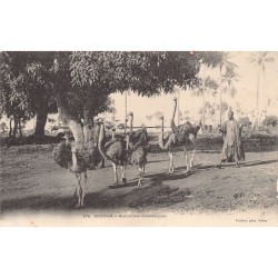 Rare collectable postcards of MALI. Vintage Postcards of MALI