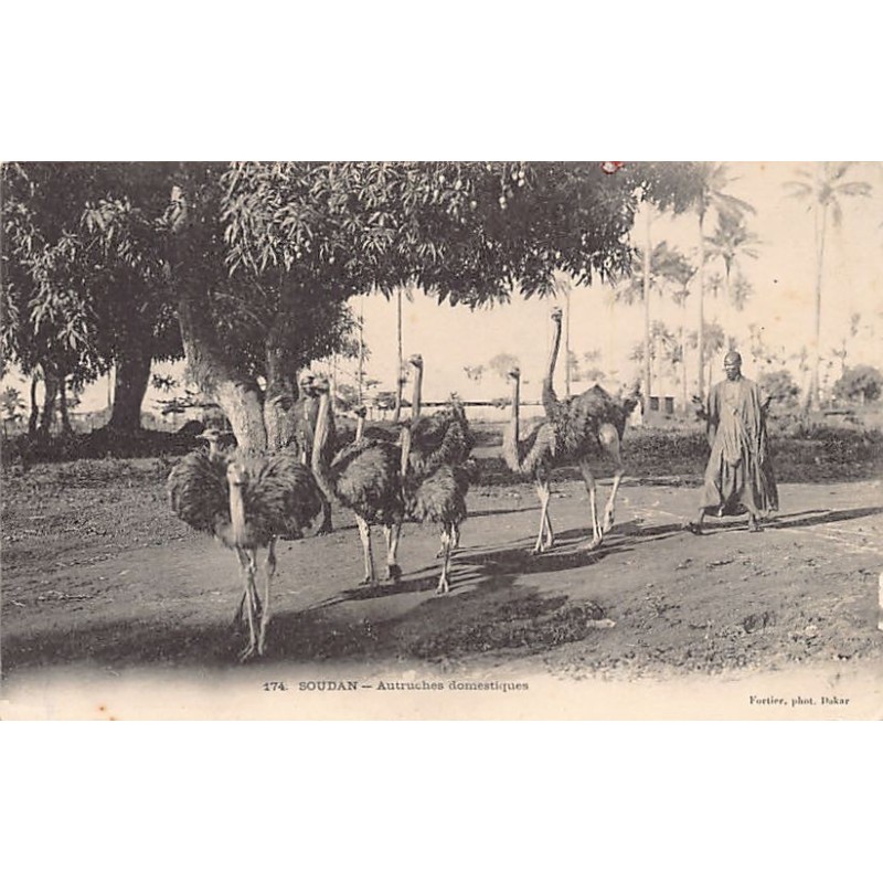 Rare collectable postcards of MALI. Vintage Postcards of MALI