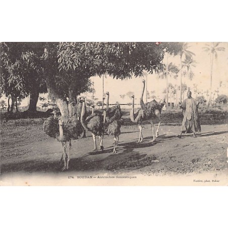 Rare collectable postcards of MALI. Vintage Postcards of MALI