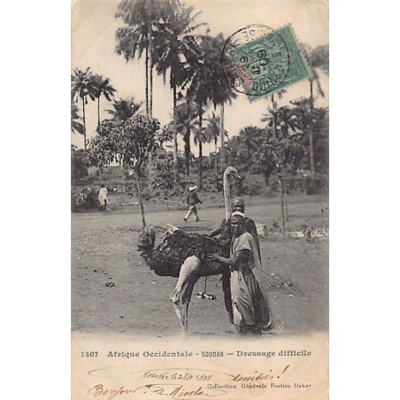 Rare collectable postcards of MALI. Vintage Postcards of MALI