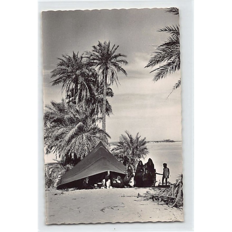 Rare collectable postcards of MAURITANIA. Vintage Postcards of MAURITANIA