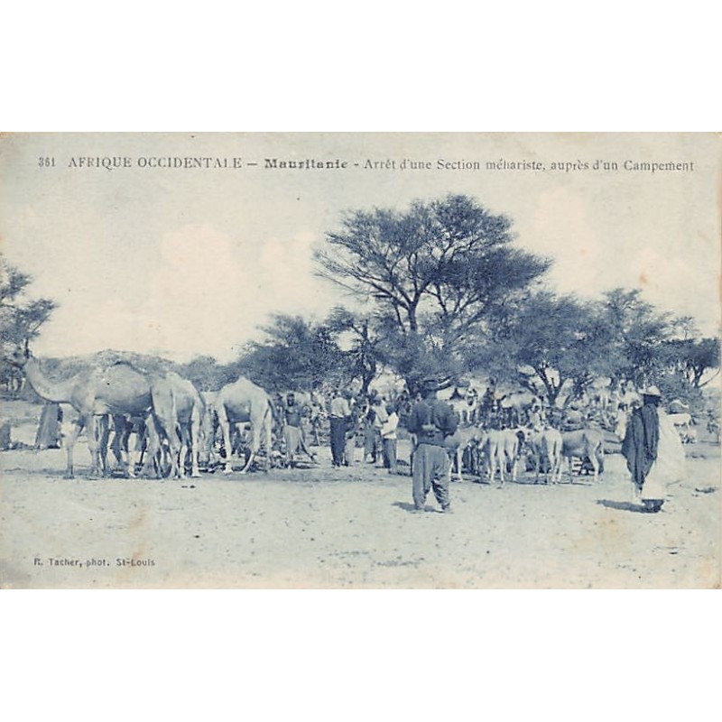 Rare collectable postcards of MAURITANIA. Vintage Postcards of MAURITANIA