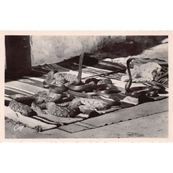 Rare collectable postcards of MOROCCO Maroc. Vintage Postcards of MOROCCO Maroc