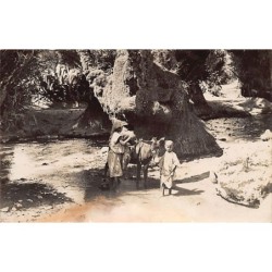 Rare collectable postcards of MOROCCO Maroc. Vintage Postcards of MOROCCO Maroc