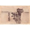 Rare collectable postcards of MOROCCO Maroc. Vintage Postcards of MOROCCO Maroc
