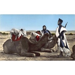 Rare collectable postcards of MOROCCO Maroc. Vintage Postcards of MOROCCO Maroc