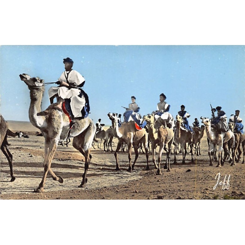 Rare collectable postcards of MOROCCO Maroc. Vintage Postcards of MOROCCO Maroc