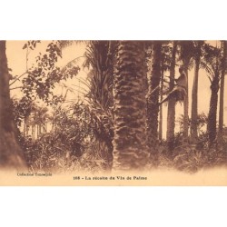 Rare collectable postcards of SENEGAL. Vintage Postcards of SENEGAL