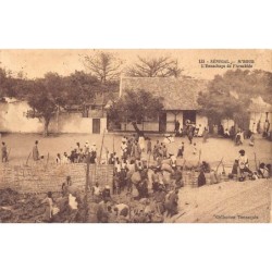 Rare collectable postcards of SENEGAL. Vintage Postcards of SENEGAL