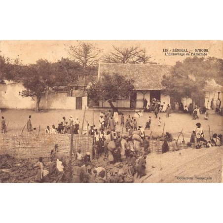 Rare collectable postcards of SENEGAL. Vintage Postcards of SENEGAL
