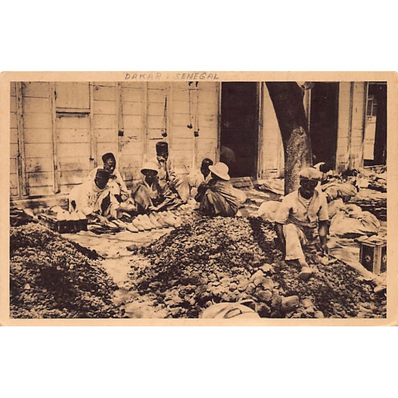 Rare collectable postcards of SENEGAL. Vintage Postcards of SENEGAL