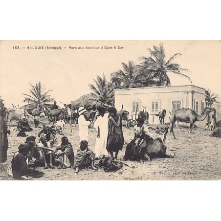 Rare collectable postcards of SENEGAL. Vintage Postcards of SENEGAL