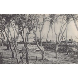 Rare collectable postcards of SENEGAL. Vintage Postcards of SENEGAL