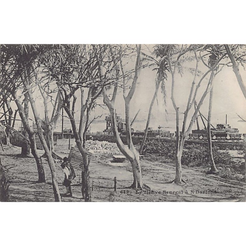 Rare collectable postcards of SENEGAL. Vintage Postcards of SENEGAL