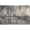 Rare collectable postcards of SENEGAL. Vintage Postcards of SENEGAL