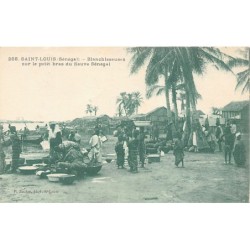 Rare collectable postcards of SENEGAL. Vintage Postcards of SENEGAL