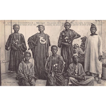 Rare collectable postcards of SENEGAL. Vintage Postcards of SENEGAL