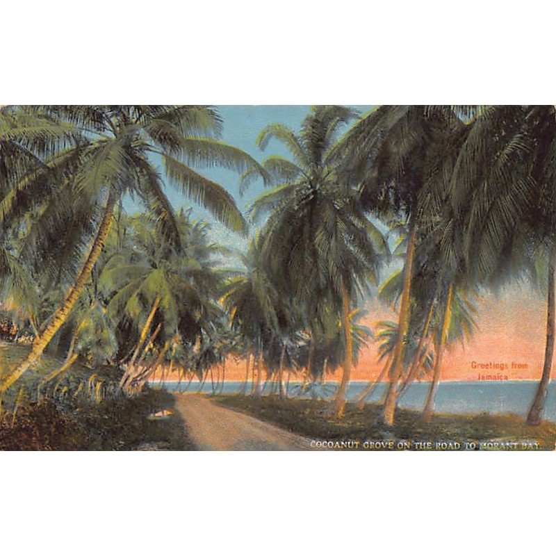 Rare collectable postcards of JAMAICA. Vintage Postcards of JAMAICA