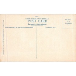 Rare collectable postcards of JAMAICA. Vintage Postcards of JAMAICA