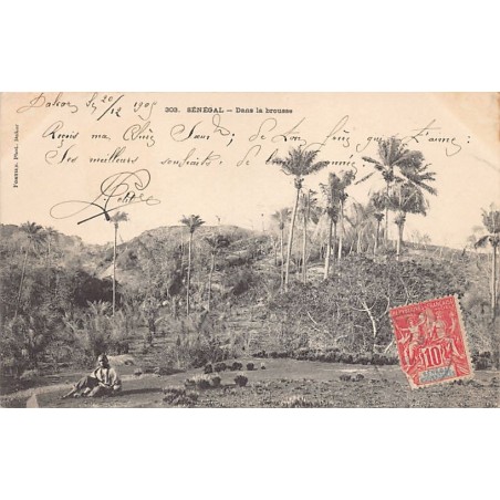 Rare collectable postcards of SENEGAL. Vintage Postcards of SENEGAL