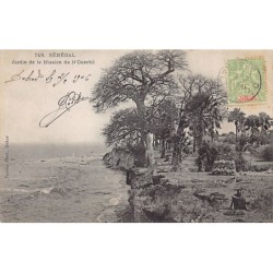 Rare collectable postcards of SENEGAL. Vintage Postcards of SENEGAL